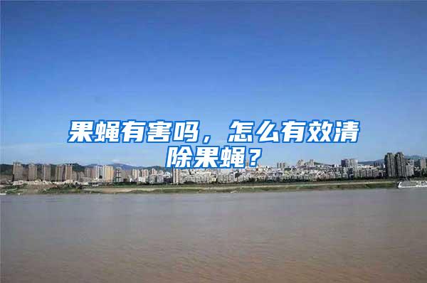 果蠅有害嗎，怎么有效清除果蠅？