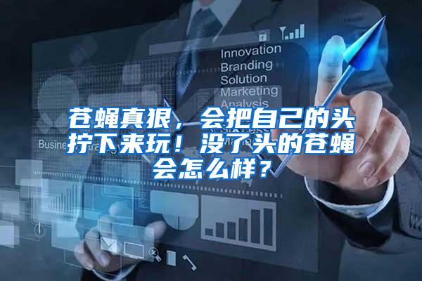 蒼蠅真狠，會把自己的頭擰下來玩！沒了頭的蒼蠅會怎么樣？