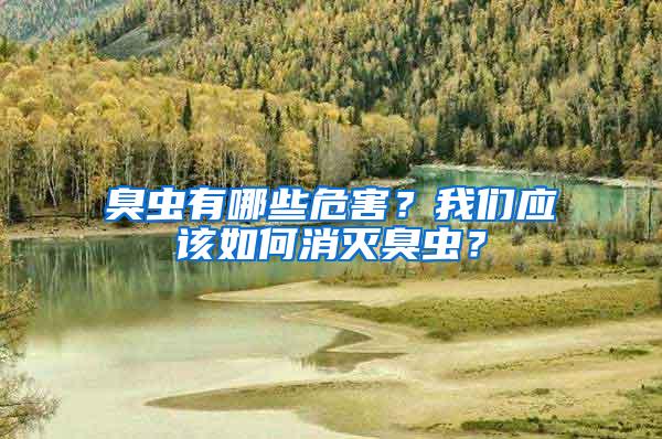 臭蟲(chóng)有哪些危害？我們應(yīng)該如何消滅臭蟲(chóng)？