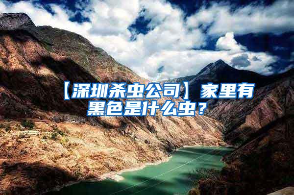 【深圳殺蟲公司】家里有黑色是什么蟲？