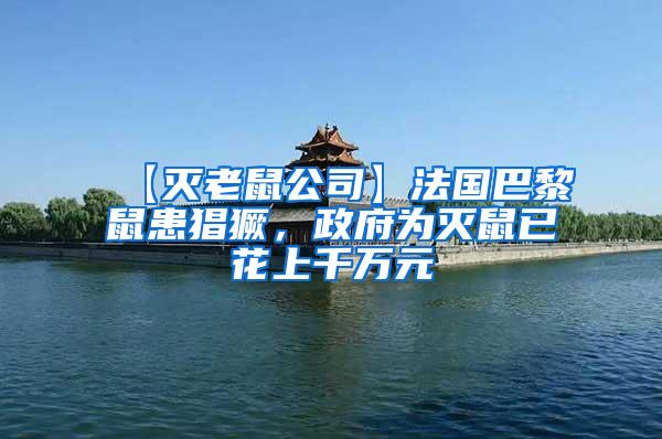 【滅老鼠公司】法國(guó)巴黎鼠患猖獗，政府為滅鼠已花上千萬(wàn)元