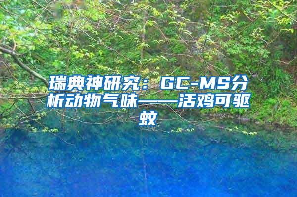 瑞典神研究：GC-MS分析動(dòng)物氣味——活雞可驅(qū)蚊