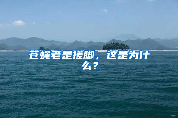 蒼蠅老是搓腳，這是為什么？