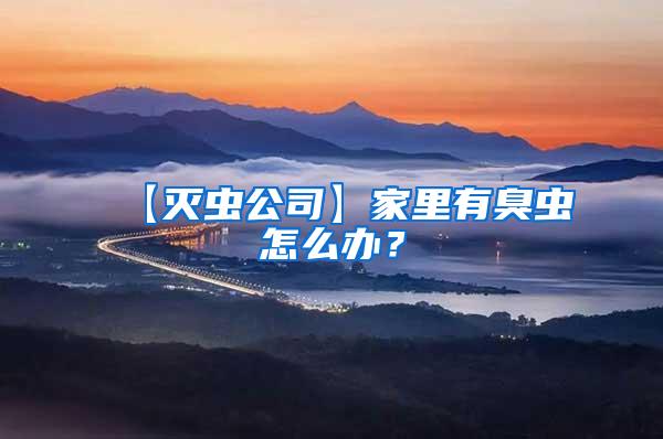 【滅蟲公司】家里有臭蟲怎么辦?