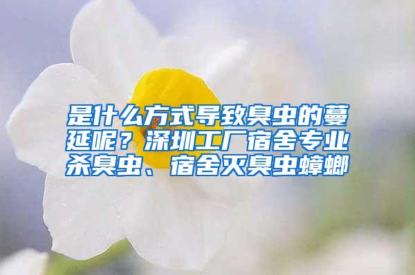 是什么方式導(dǎo)致臭蟲的蔓延呢？深圳工廠宿舍專業(yè)殺臭蟲、宿舍滅臭蟲蟑螂