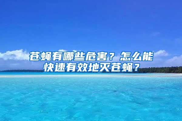 蒼蠅有哪些危害？怎么能快速有效地滅蒼蠅？