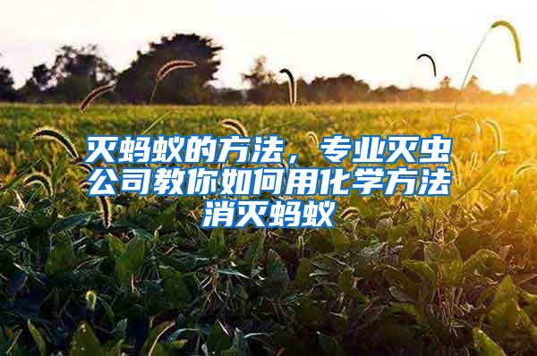 滅螞蟻的方法,專業(yè)滅蟲公司教你如何用化學(xué)方法消滅螞蟻