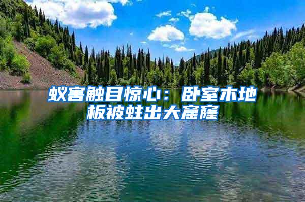 蟻害觸目驚心:臥室木地板被蛀出大窟窿