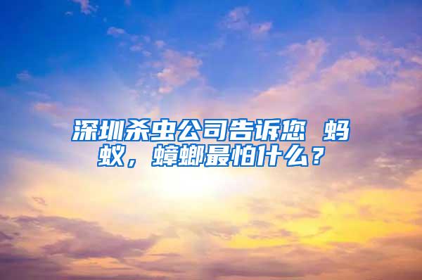 深圳殺蟲公司告訴您 螞蟻，蟑螂最怕什么？