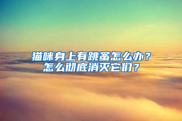 貓咪身上有跳蚤怎么辦？怎么徹底消滅它們？