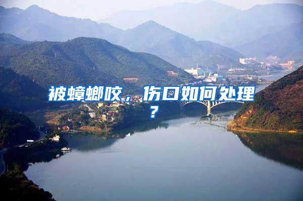 被蟑螂咬，傷口如何處理？