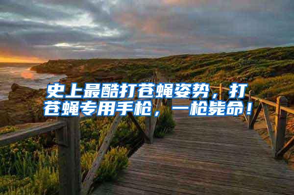 史上最酷打蒼蠅姿勢，打蒼蠅專用手槍，一槍斃命！