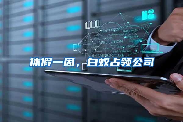 休假一周，白蟻占領(lǐng)公司