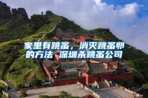 家里有跳蚤,消滅跳蚤卵的方法 深圳殺跳蚤公司