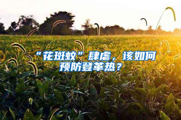 “花斑蚊”肆虐，該如何預(yù)防登革熱？