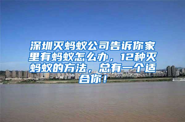 深圳滅螞蟻公司告訴你家里有螞蟻怎么辦，12種滅螞蟻的方法，總有一個(gè)適合你！