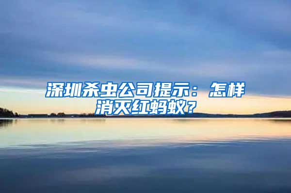 深圳殺蟲(chóng)公司提示：怎樣消滅紅螞蟻？