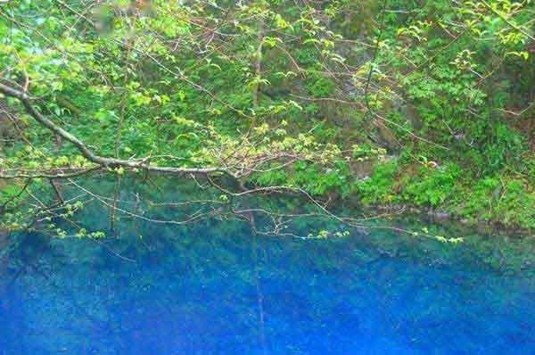 有害生物防制如何進(jìn)行作業(yè)監(jiān)督？