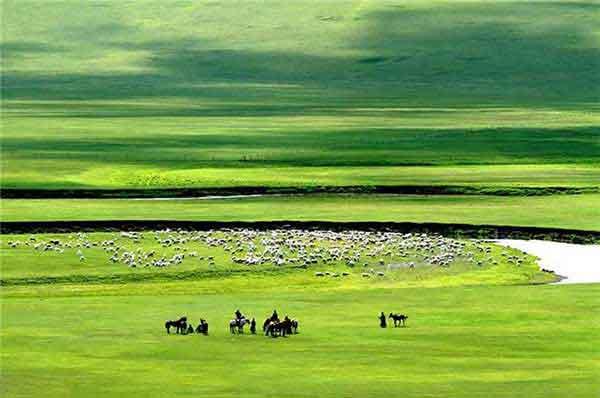 深圳滅蒼蠅公司:蒼蠅防治方案