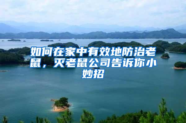 如何在家中有效地防治老鼠,滅老鼠公司告訴你小妙招