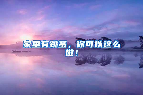 家里有跳蚤，你可以這么做！