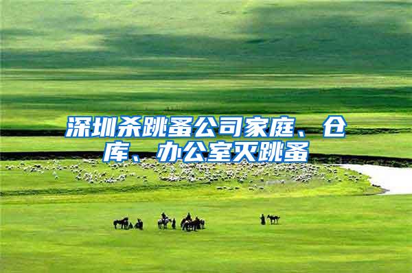 深圳殺跳蚤公司家庭、倉庫、辦公室滅跳蚤