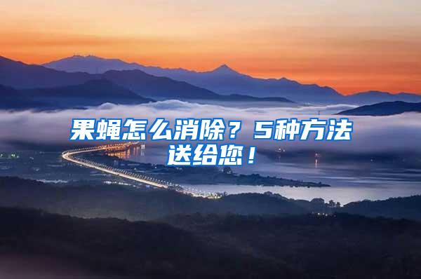 果蠅怎么消除？5種方法送給您！