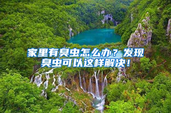 家里有臭蟲怎么辦？發(fā)現(xiàn)臭蟲可以這樣解決！