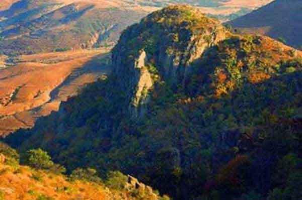 深圳殺蟲(chóng)公司--食品廠消殺計(jì)劃如何管理