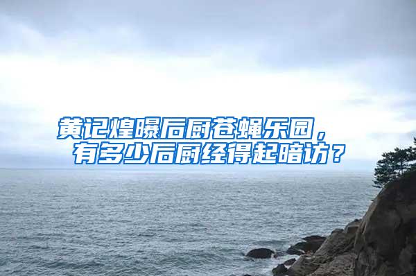 黃記煌曝后廚蒼蠅樂園， 有多少后廚經(jīng)得起暗訪？