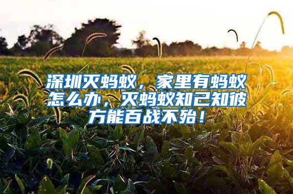 深圳滅螞蟻，家里有螞蟻怎么辦，滅螞蟻知己知彼方能百戰(zhàn)不殆！