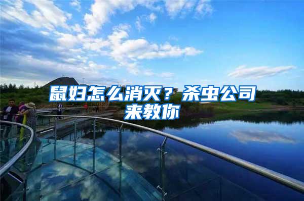 鼠婦怎么消滅？殺蟲公司來(lái)教你