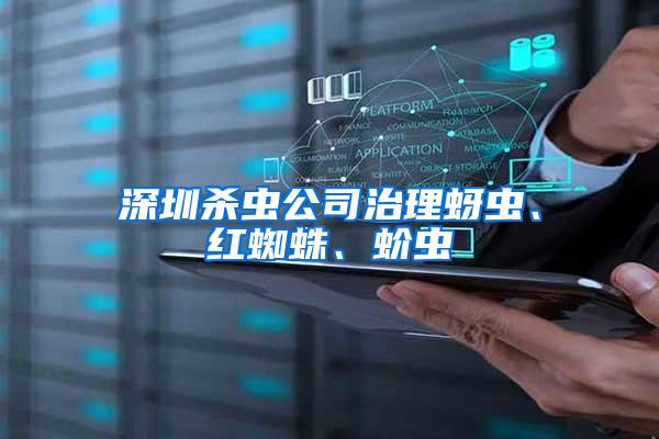 深圳殺蟲公司治理蚜蟲、紅蜘蛛、蚧蟲