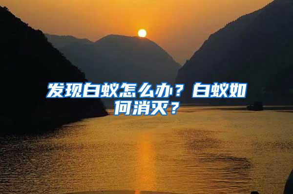 發(fā)現(xiàn)白蟻怎么辦？白蟻如何消滅？