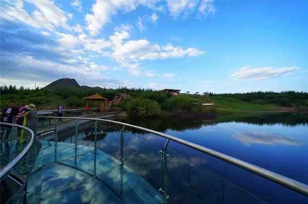 【殺蟲公司】跳蚤怎么消滅，被跳蚤咬了怎么辦？