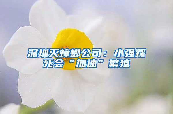 深圳滅蟑螂公司：小強(qiáng)踩死會(huì)“加速”繁殖
