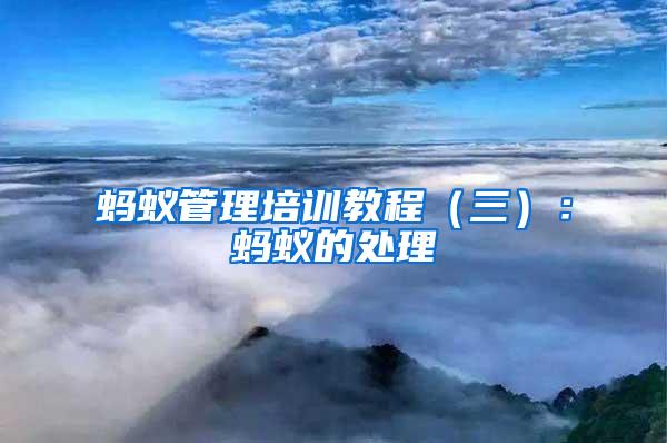螞蟻管理培訓(xùn)教程(三):螞蟻的處理