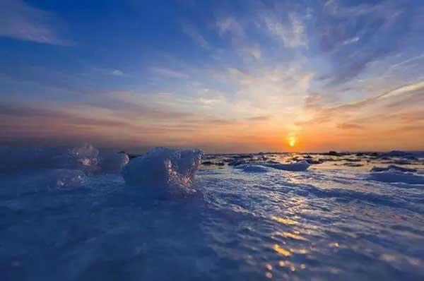 昔日農都遭白蟻侵襲 廣西農事試驗場舊址待修繕