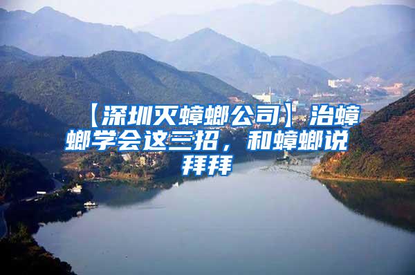 【深圳滅蟑螂公司】治蟑螂學(xué)會這三招，和蟑螂說拜拜