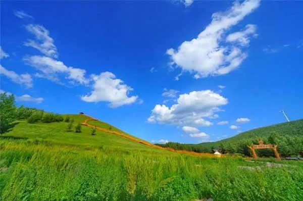 白蟻的活躍期一般在4~6月份