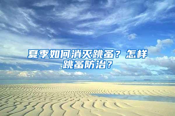 夏季如何消滅跳蚤？怎樣跳蚤防治？