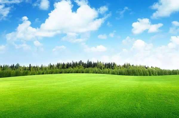 家樂(lè)福焙烤貨架驚現(xiàn)蟑螂