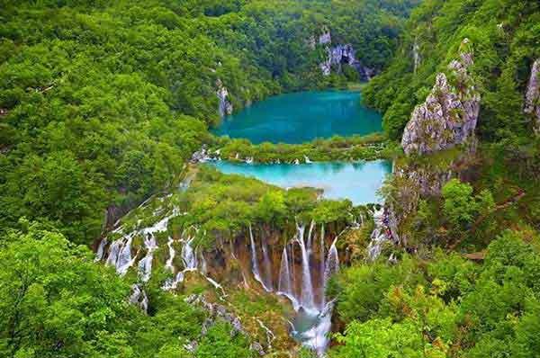 深圳殺蟲(chóng)公司 分析如何預(yù)防登革熱