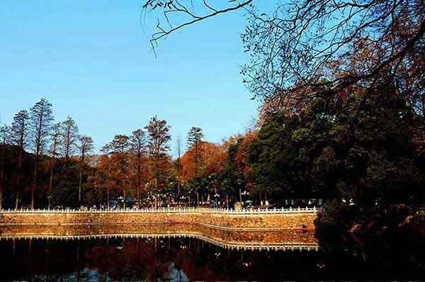 【深圳滅蟑螂公司】只要超市一水果，就可以把廚房蟑螂都連根拔起，家中再也沒蟑螂！