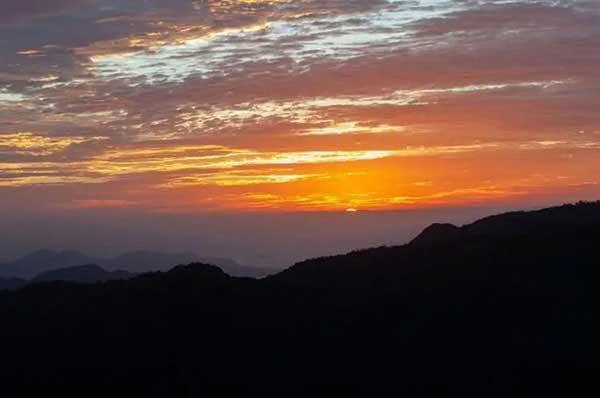 家庭滅鼠的好辦法。