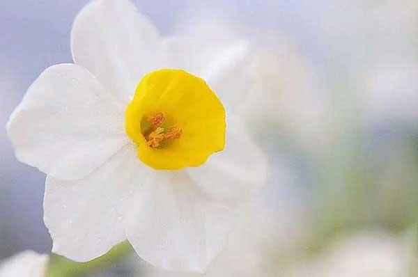 男子賣(mài)糖葫蘆攢下5000元 埋藏被老鼠咬碎[[圖]