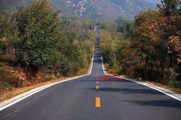 白螞蟻的生活習(xí)性