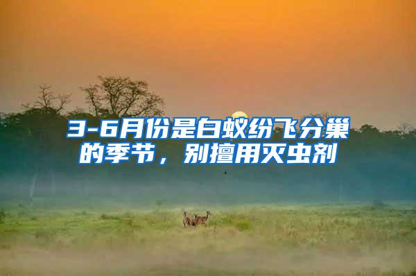 3-6月份是白蟻紛飛分巢的季節(jié)，別擅用滅蟲劑
