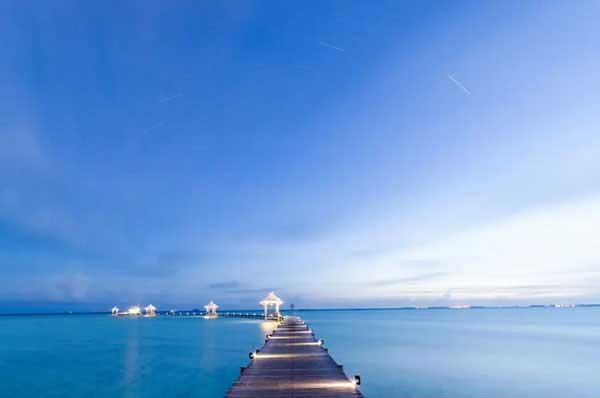 為什么化學(xué)殺蟑螂藥劑對(duì)人體危害會(huì)那么巨大