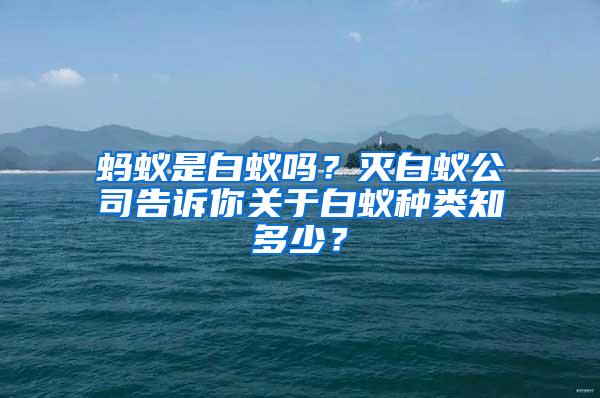 螞蟻是白蟻嗎？滅白蟻公司告訴你關(guān)于白蟻種類知多少？